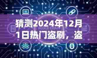 揭秘盗刷风云背后的奇遇之旅，盗刷热点下的温馨日常（2024年12月1日）