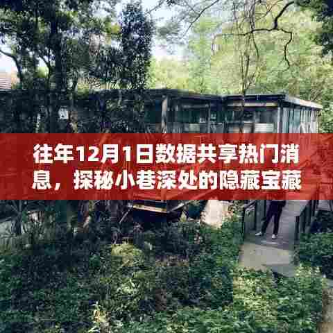 揭秘数据共享热潮下的隐藏宝藏，独家特色数据共享消息小店探秘之旅