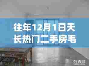 往年12月1日天长热门二手房毛坯房选购指南，从入门到进阶的选择建议