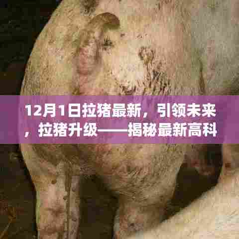 揭秘最新高科技拉猪产品的神奇功能,引领未来拉猪升级新趋势