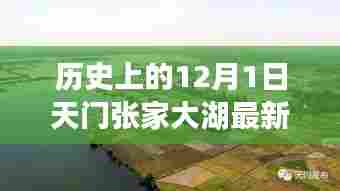 天门张家大湖规划揭秘,历史回望与未来展望的交汇点,最新规划一览无余