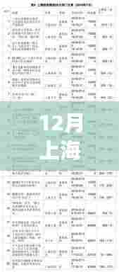 12月上海热门事件公布，一网打尽上海热点资讯与步骤指南