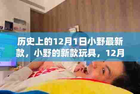 小野新款玩具揭秘，12月1日的温馨故事开启