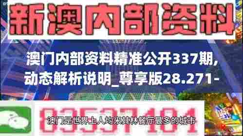 澳门内部资料精准公开337期,动态解析说明_尊享版28.271-5