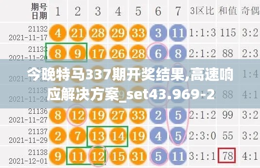 今晚特马337期开奖结果,高速响应解决方案_set43.969-2