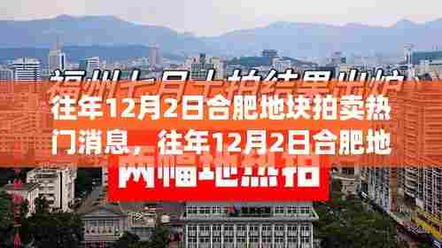 合肥地块拍卖热门消息揭秘，历年12月2日拍卖全解析