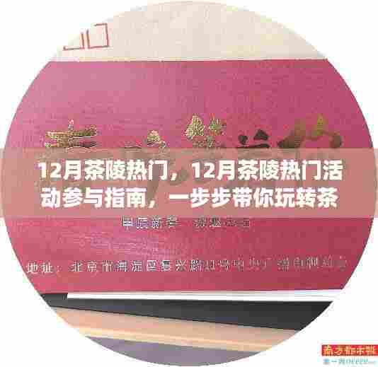 玩转茶文化体验之旅，12月茶陵热门活动参与指南
