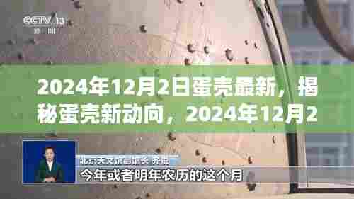 蛋壳新动向揭秘，蛋壳创新与突破在2024年12月2日的展望