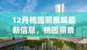 桃园丽景城最新动态，温馨家园故事与十二月的美好交织