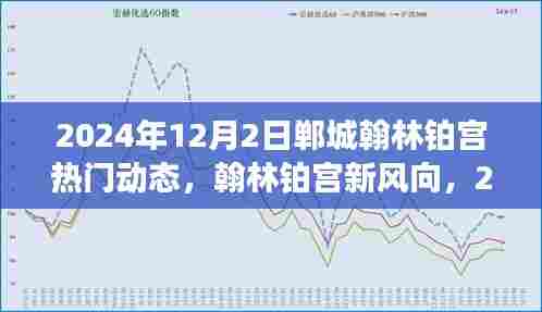2024年12月2日郸城翰林铂宫最新动态解读，热门风向与新动向