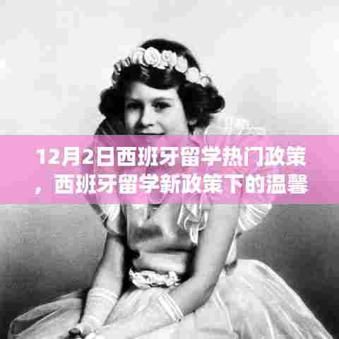 西班牙留学新政策下的温馨日常与梦想友情碰撞记