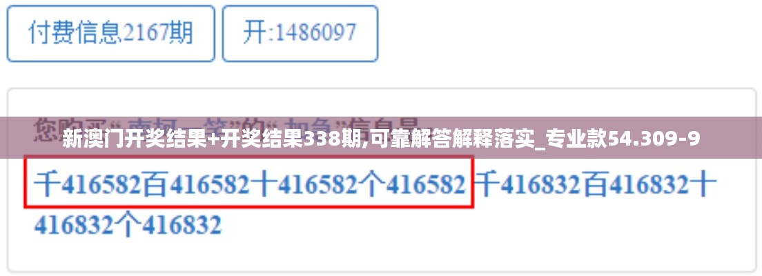 新澳门开奖结果+开奖结果338期,可靠解答解释落实_专业款54.309-9