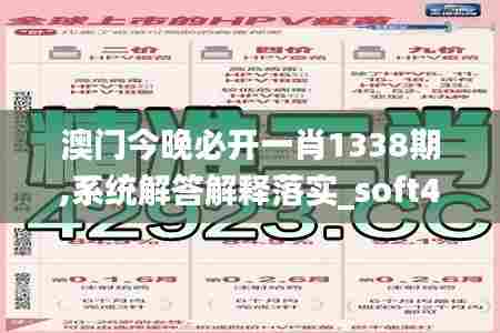 澳门今晚必开一肖1338期,系统解答解释落实_soft49.466-3