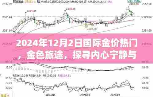探寻内心宁静与揭秘国际金价之谜，金色旅途的启示（2024年12月2日）