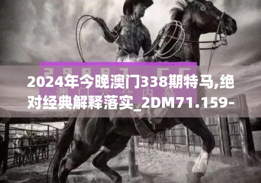 2024年今晚澳门338期特马,绝对经典解释落实_2DM71.159-6