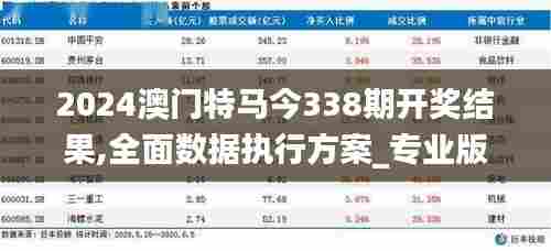 2024澳门特马今338期开奖结果,全面数据执行方案_专业版83.195-6