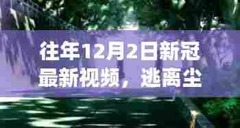 往年12月2日新冠最新视频，心灵之旅启示录——逃离尘嚣探寻自然之美
