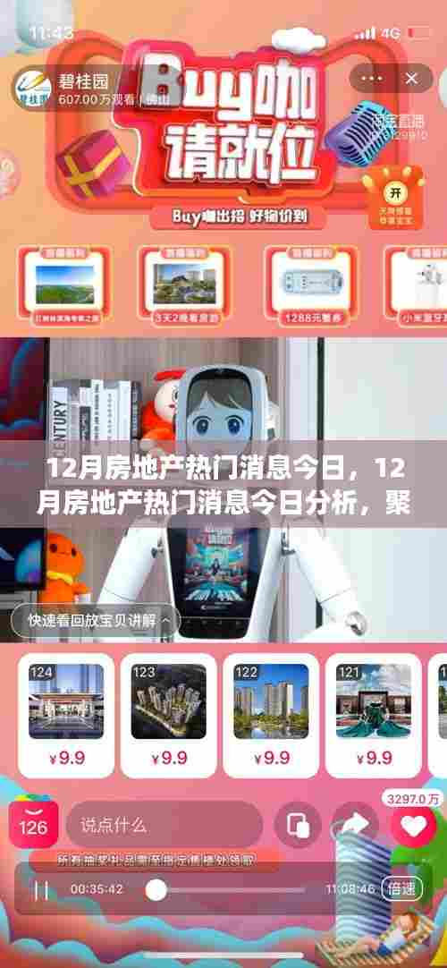 12月房地产最新动态解析,市场动向与个人立场关注焦点
