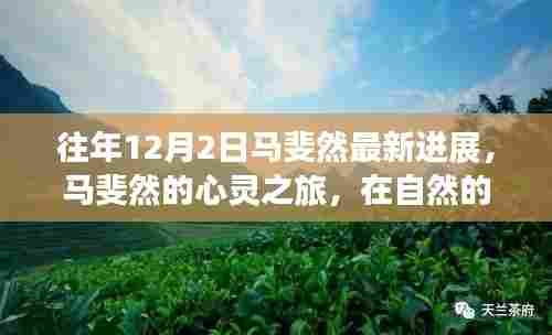 马斐然的心灵之旅,自然怀抱中的宁静与乐趣新进展
