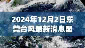 东莞台风日温馨日常故事,最新台风消息与图片分享