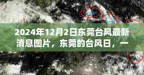 东莞台风日温馨日常故事,最新台风消息与图片分享
