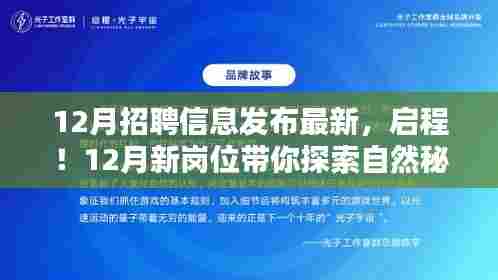 12月新岗位招聘启幕,探索自然秘境,寻找心灵宁静之旅