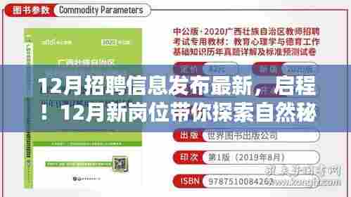 12月新岗位招聘启幕,探索自然秘境,寻找心灵宁静之旅