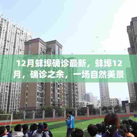 蚌埠十二月疫情最新动态下的自然美景心灵之旅