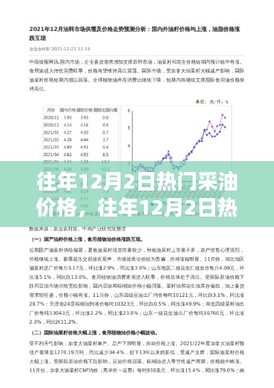入门指南，往年12月2日热门采油价格查询与分析概览