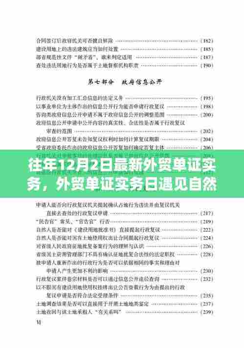 外贸单证实务中的心灵之旅，与自然美景相遇，寻找内心平静