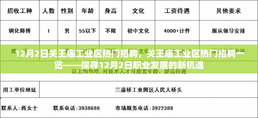 穷鸟入怀 第4页