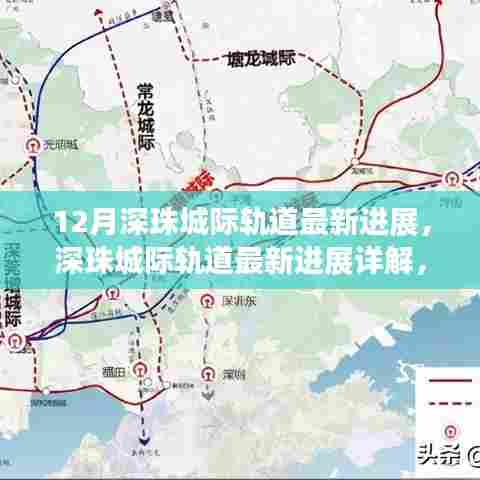 虫书鸟篆 第4页