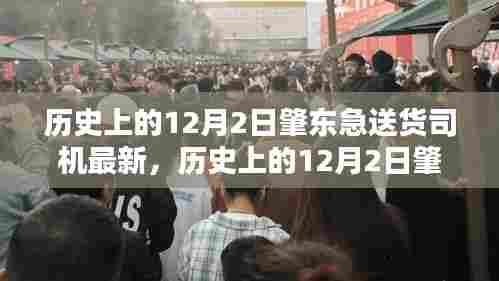 历史上的12月2日肇东急送货司机最新动态与评测,特性、体验、对比及用户群体深度分析