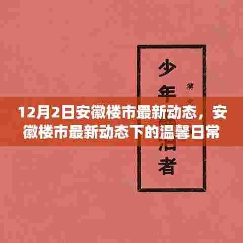 安徽楼市最新动态背后的温馨日常，友情与陪伴的故事，12月2日楼市更新纪实