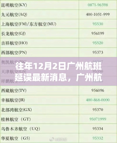 广州航班延误最新消息,拥抱自然,静待起航时刻