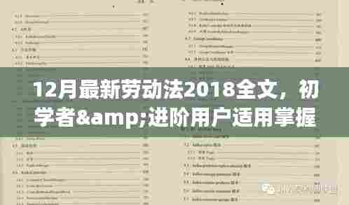 最新劳动法(2018年全文)详解与职场权益保障,初学者与进阶用户必备指南