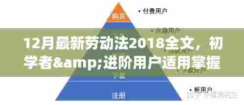 最新劳动法(2018年全文)详解与职场权益保障,初学者与进阶用户必备指南