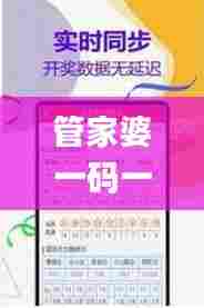 管家婆一码一肖100准339期,实地数据验证实施_创意版16.606-2