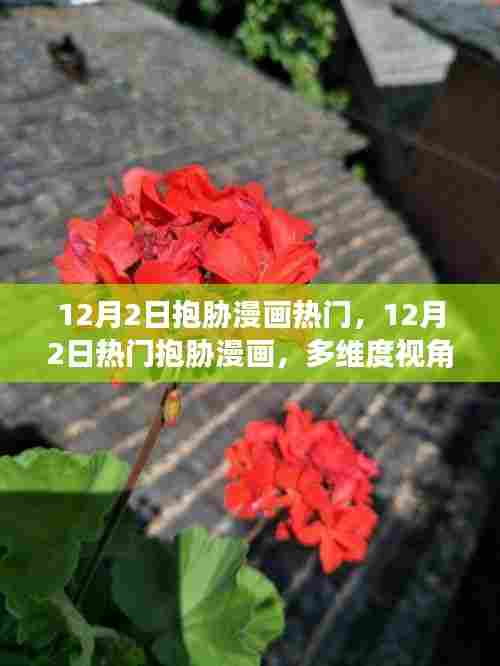 多维度视角下的观点碰撞与深度剖析，揭秘热门抱胁漫画背后的故事
