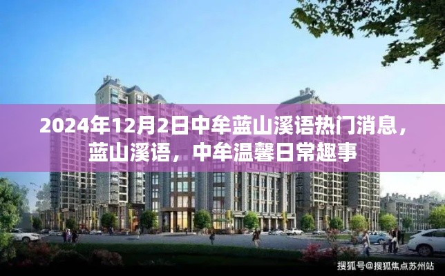 东张西望 第4页
