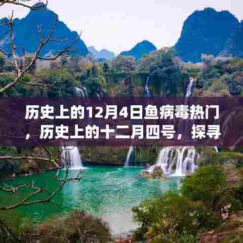 探寻鱼病毒背后的自然秘境之旅，历史上的十二月四号回顾与探索