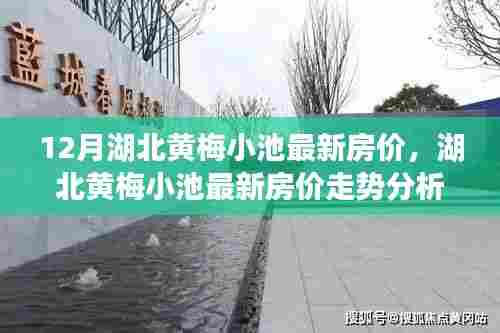 湖北黄梅小池最新房价走势深度解读与观点阐述，最新数据与趋势分析