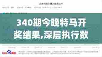 340期今晚特马开奖结果,深层执行数据策略_户外版137.629-8