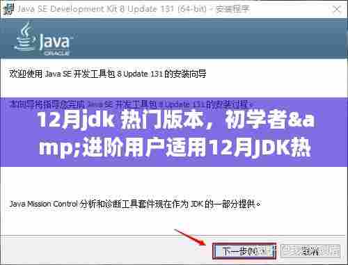 12月JDK热门版本安装与使用指南，适合初学者与进阶用户的学习指南
