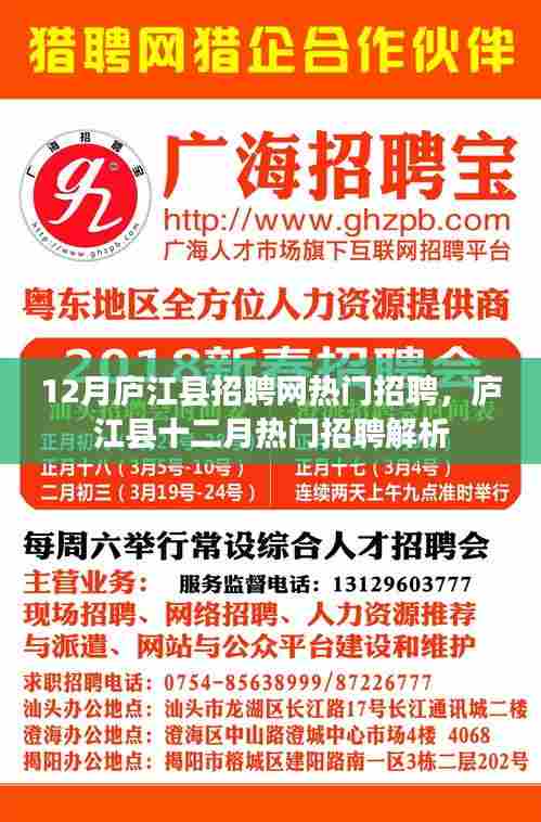 庐江县十二月热门招聘解析与招聘网精选职位推荐