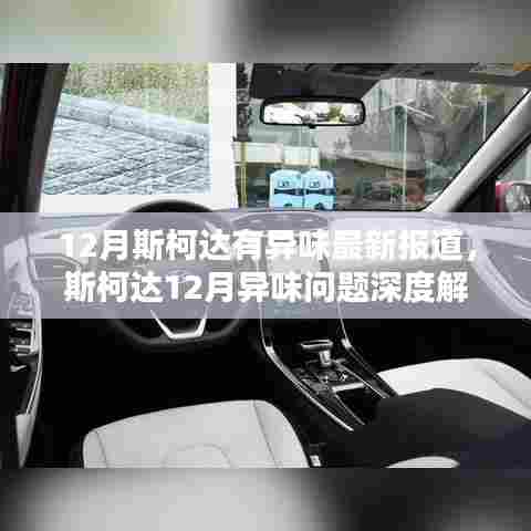 12月斯柯达有异味最新报道，斯柯达12月异味问题深度解析，探究成因与应对之策