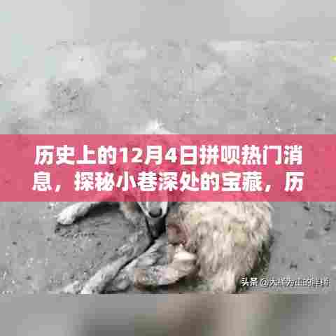 历史上的十二月四日,特色小店与宝藏小巷的奇妙邂逅