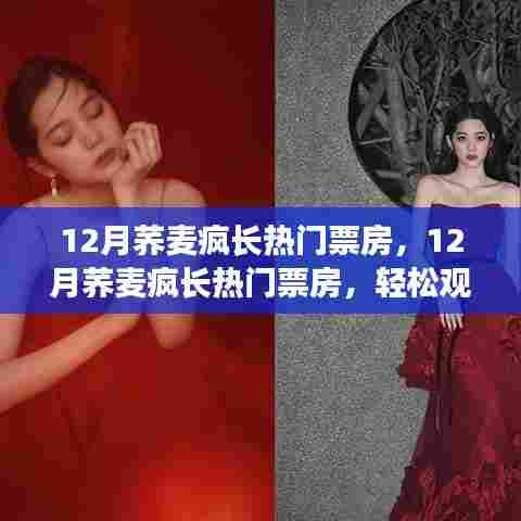 12月荞麦疯长热门票房，12月荞麦疯长热门票房，轻松观影指南与购票全攻略