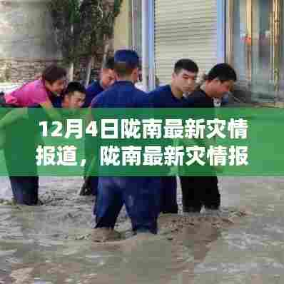 陇南最新灾情报道深度解析，特性、体验、竞品对比与用户洞察