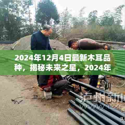 深度解析